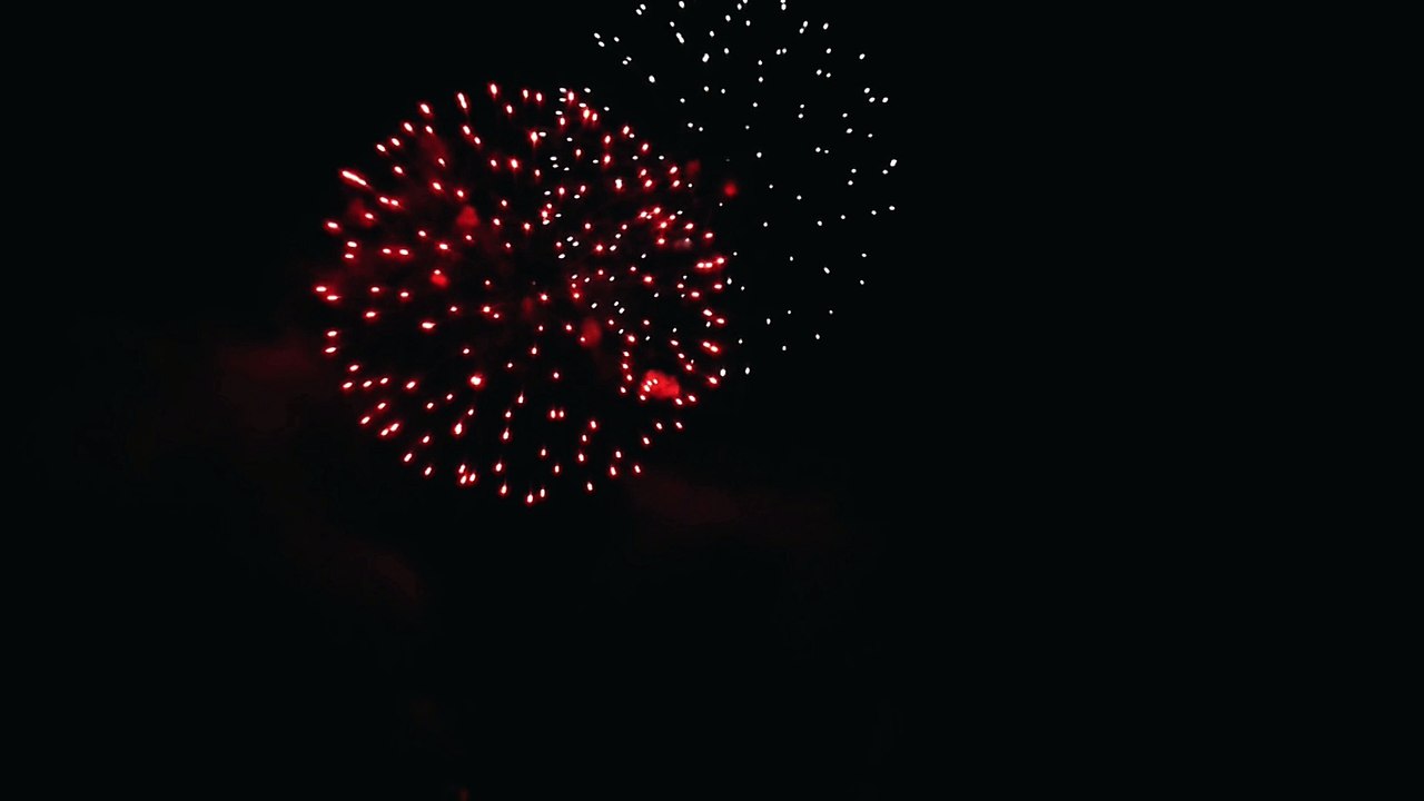 2015 - Vitry aux Loges (45) - Fête nationale