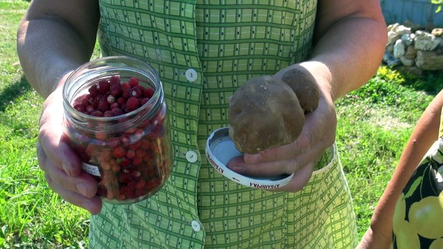 Компания Красивая Земля. СНТ Васильково. Какая природа и экология в поселке