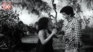 Daag (1952) - Full Length Movie - Dilip Kumar, Nimmi, Usha Kiran