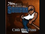 Mr. Shadow - Sr. Sombra