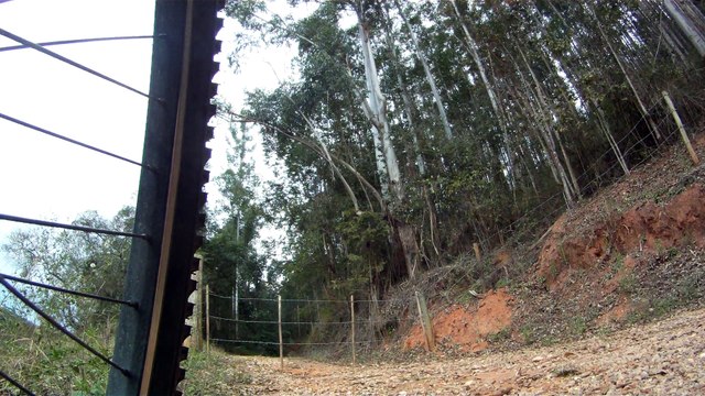 Mtb, Trilhas de Mountain bike, Taubaté, SP, Brasil, Vale do Paraíba, Ciclo turismo, 33 amigos na rota dos eucaliptos, (25)