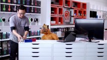 ALF's Cell Phone - Radio Shack Super Bowl XLVIII Commercial
