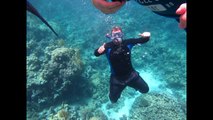 Snorkeling in Hurghada - Red Sea - (Egypt) 2015 - Mahmya / Giftun Island 720p30fps HD