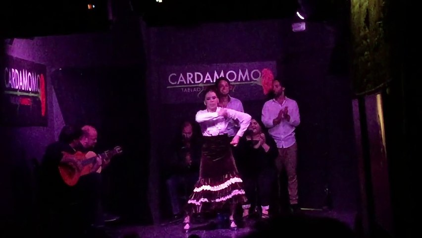 Spanish Traditional Dance & Music