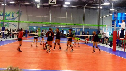 michelle schultz #14 setter powerhouse volleyball club