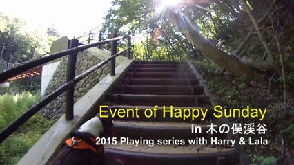 playing series with Harry & Lala  in 木の俣渓谷