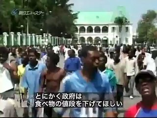 飽食と飢餓 世界食糧システムの隠れた戦い (1)