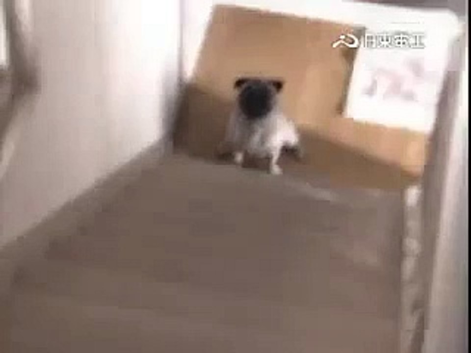 日東電工 PUG CM