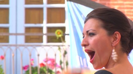 Festival Montauban en Scènes : Concert récréatif avec la troupe de Frank Thézan