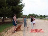 Castellón mejorará las zonas de esparcimiento canino para evitar malos olores