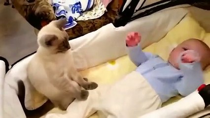 Cat is in trouble Calming Down Baby Boy Funny Cat Videos 20151