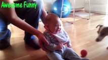 Funny Videos   Funny Cats   Funny Babies Laughing   Funny Animals Videos   Funny Dogs 2015