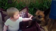 Funny Videos   Funny Cats   Funny Babies Laughing   Funny Animals Videos   Funny Dogs 2015 3
