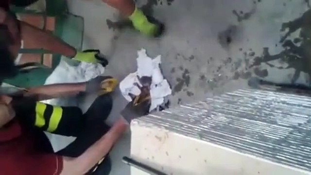 Un pompier sauve un chaton de la noyade