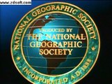 Enemigos Eternos Hienas y Leones Especia lde National Geographic