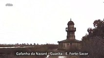 02. Gafanha da Nazaré Minha Terra, GN Terra de Esperança