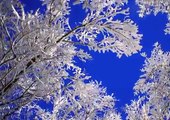 Winter Landscapes-  Paesaggi Invernali