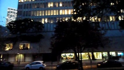 Wild Parrots of Telegraph Hill - Washington St. at Davis November 2010