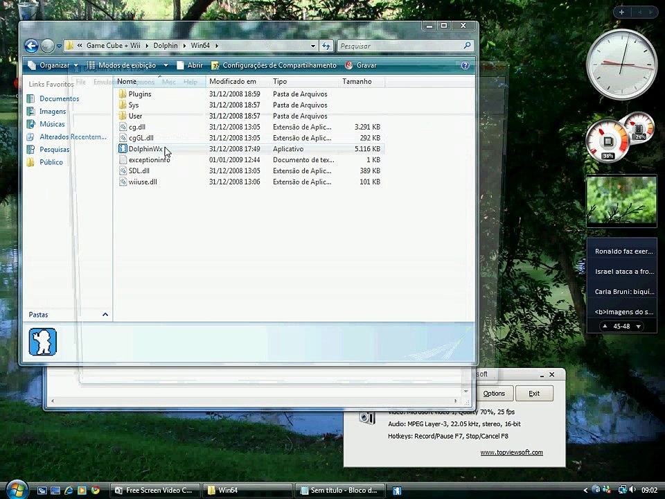 Mario Kart Wii not working on dolphin