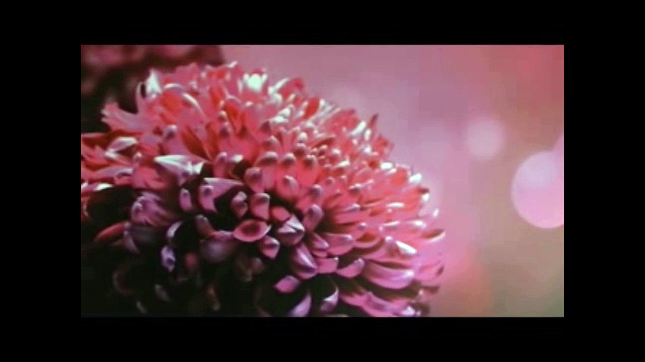 VBlog mit Sephiroth LP 4 you