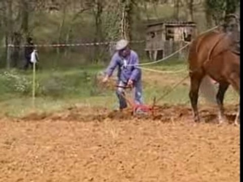 Concours Complet de cheval de trait 2007