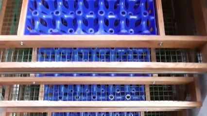 Инкубатор автоматический Multilife фазан, куропатка, павлин.