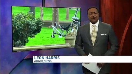 Gyrocopter lands on Capitol's West Lawn in apparent protest; pilot arrested