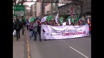 Chile | Derechos Animales Constitucionales.