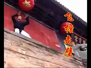 Real Chinese Kongfu