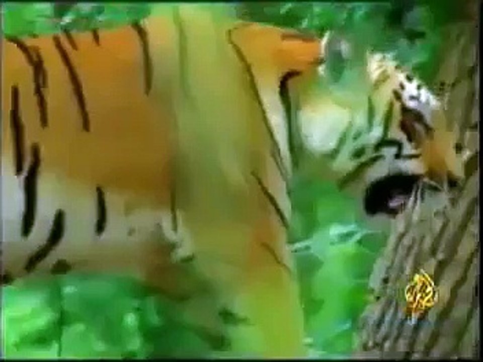 عالم الحيوانات ‎