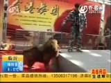 best  of best of best dog in this world. Tibetan Mastiff .you can look face to face ,but no sale