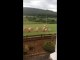 Des moutons jouent à saute moutons sur des ballots de paille ! Excellent !