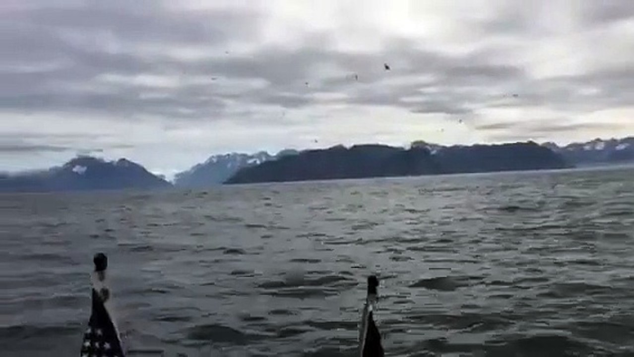 Ces 2 pêcheurs filmaient la mer avant de faire une étrange rencontre et de vivre le plus beau moment de leur vie !
