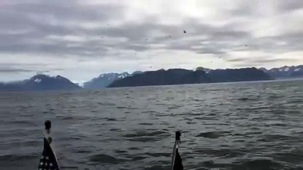 Ces 2 pêcheurs filmaient la mer avant de faire une étrange rencontre et de vivre le plus beau moment de leur vie !