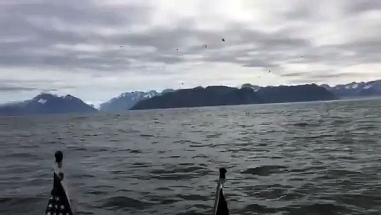 Ces 2 pêcheurs filmaient la mer avant de faire une étrange rencontre et de vivre le plus beau moment de leur vie !