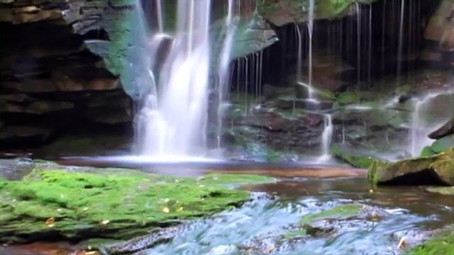 The Solution to Water Pollution - Sydney - CBRM Wastewater Operations - ACAP Cape Breton