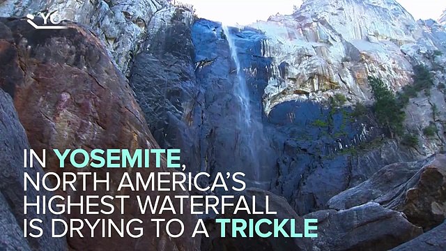 California's Drought Is Devastating Our National Parks