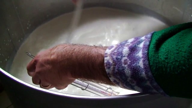 FROMAGE DE BREBIS (Fabrication) - Le Métier de Berger - Béarn - Pyrénées Atlantiques - Tv Izard