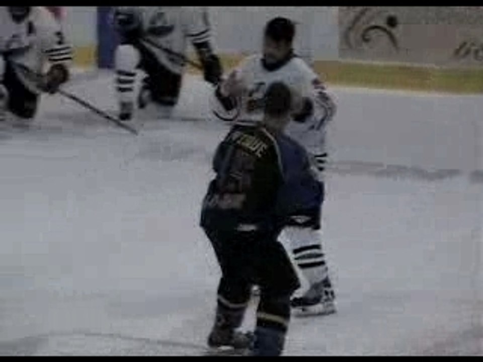 Levesque vs Langlais