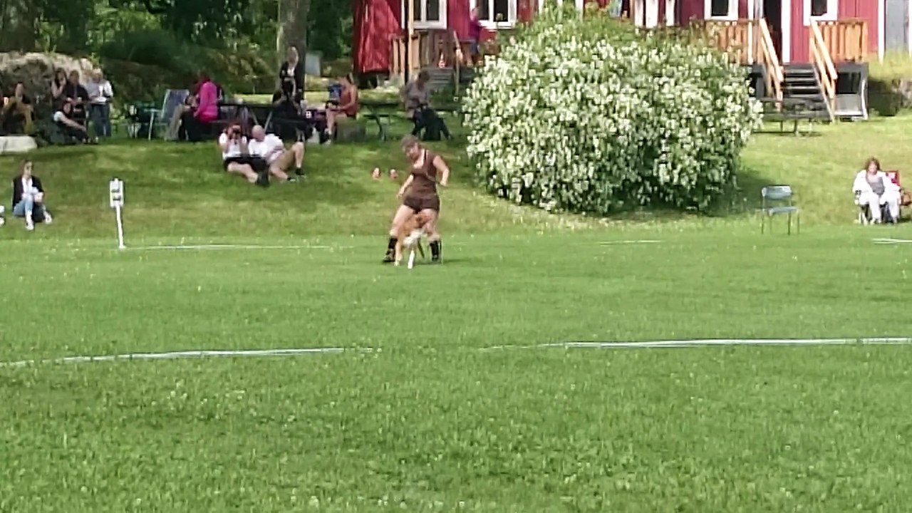 Elin och Leo freestyle klass 3 11/7-15