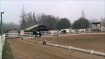 Lily Walk Trot Canter Dressage Test Feb2014