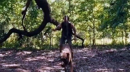 Django Unchained -Dog Scene