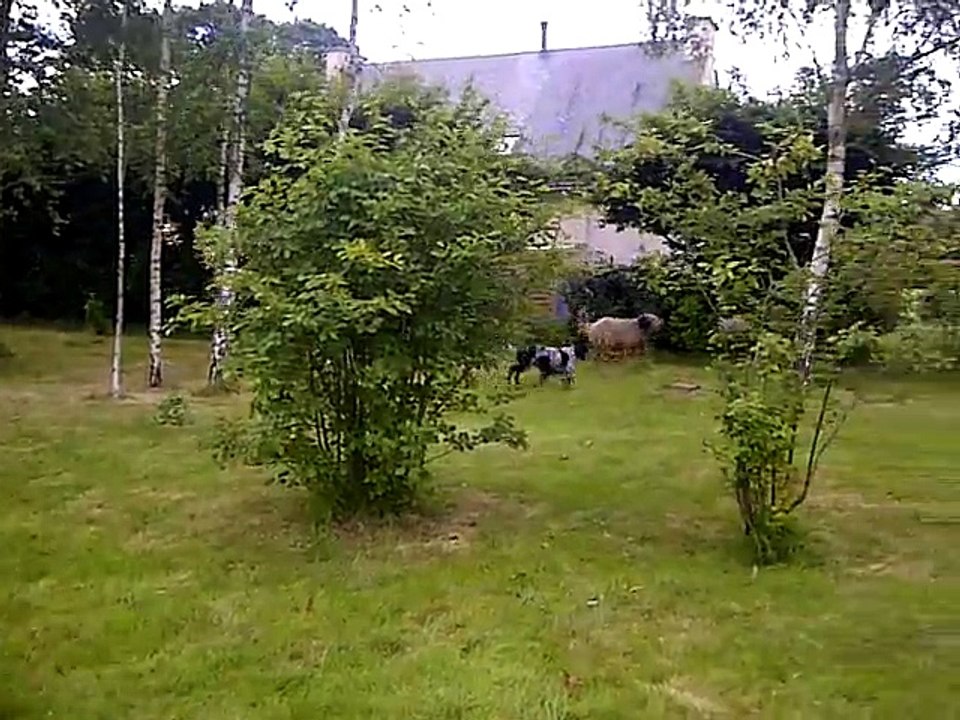 test