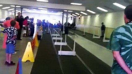 Flyball Demonstration at the Southern Maryland Kennel Club
