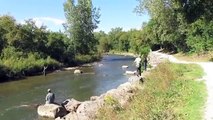 Salmon Fishing Erindale Park Credit River  Mississauga Ontario