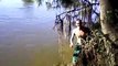 Croc Attack Crocodile In Australian Hawkesbury River NSW Australia 2000 au Not An Alligator