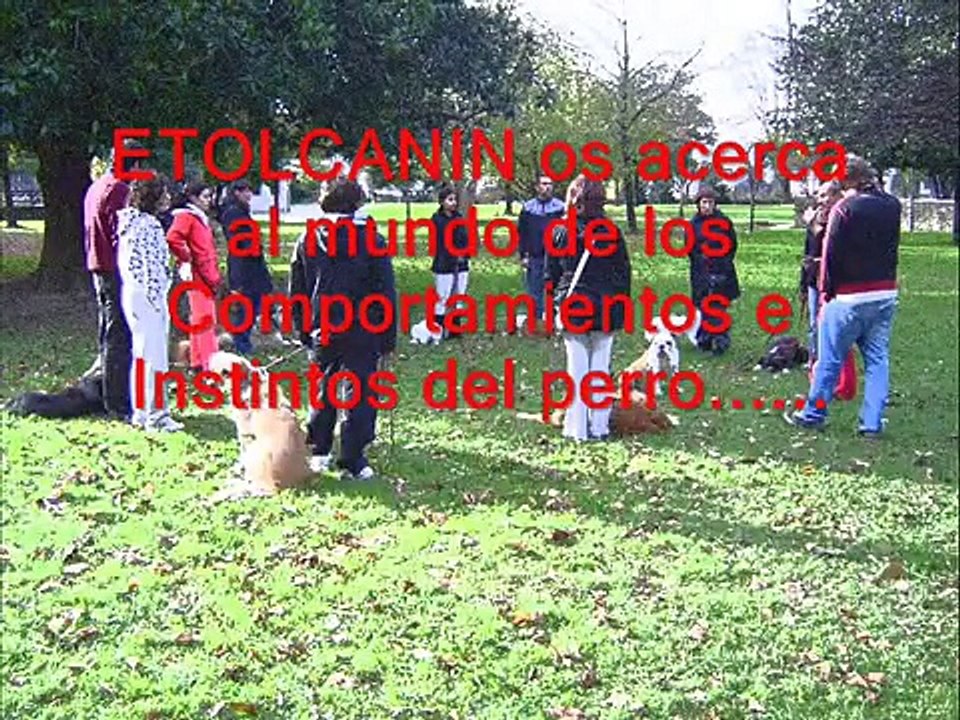 SEMINARIOS/TALLER ETOLCANIN Adiestramiento Canino Guipuzcoa (Irun-San sebastian) 2009-2010
