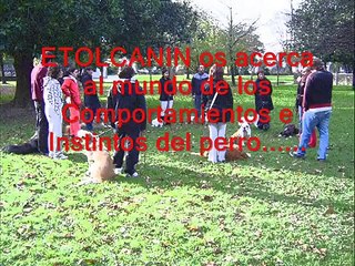 SEMINARIOS/TALLER ETOLCANIN Adiestramiento Canino Guipuzcoa (Irun-San sebastian) 2009-2010