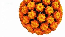 The Battle Against Cancer - HPV researchers carrying on the work of a Nobel winner | Tomorrow Today