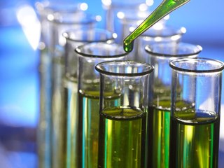 Fill Your Tank With Biofuels